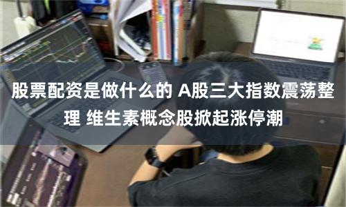 股票配资是做什么的 A股三大指数震荡整理 维生素概念股掀起涨停潮