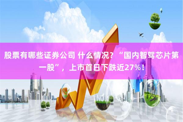 股票有哪些证券公司 什么情况？“国内智驾芯片第一股”，上市首日下跌近27%！