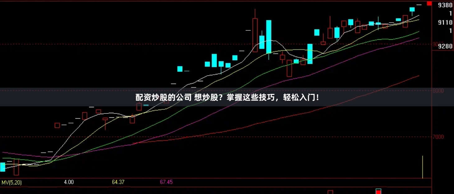配资炒股的公司 想炒股？掌握这些技巧，轻松入门！